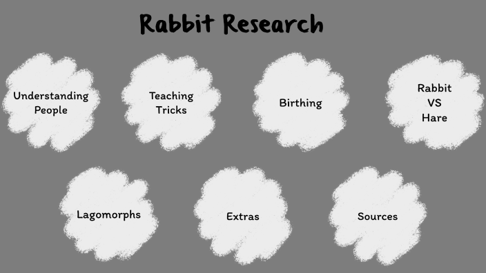 Rabbit Research by Kate Nelson on Prezi