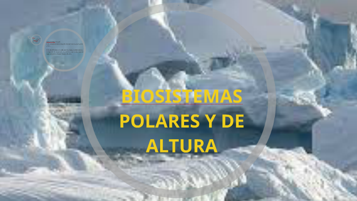 Biosistemas Polares Y De Altura By Carolina Montero De La Paz