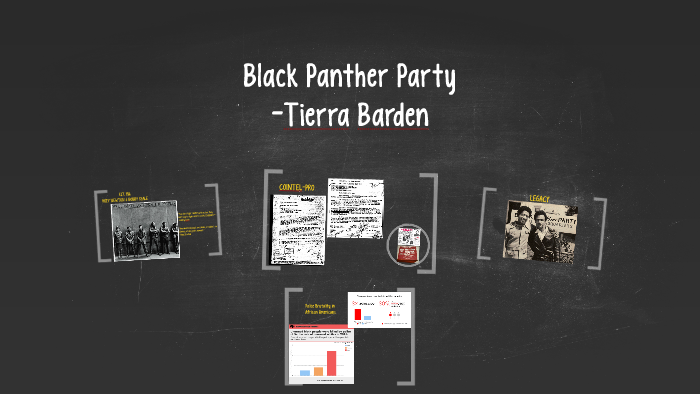 essay on the black panther party