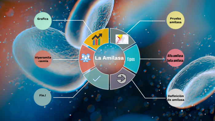 La Amilasa by sebastian morales on Prezi