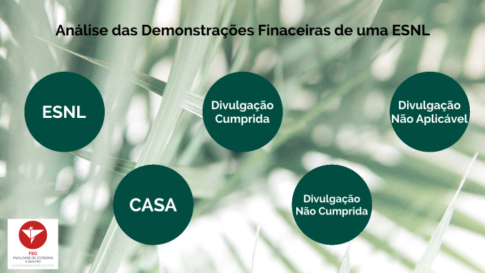 Analise De Demonstrações Financeiras By Isabel Da Silva On Prezi 1251
