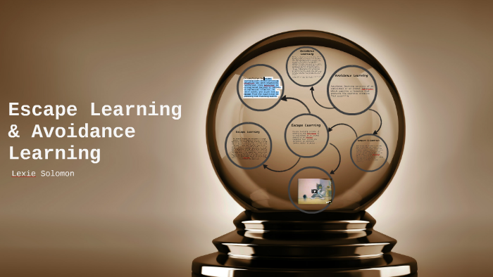 Escape Learning And Avoidance Learning By Jade Foster On Prezi Escape Learning And Avoidance Learning By Jade Foster On Prezi