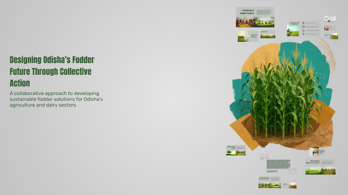 Through Fodder Designing Odisha’s Fodder Future Through Collective Action by Bimal ...