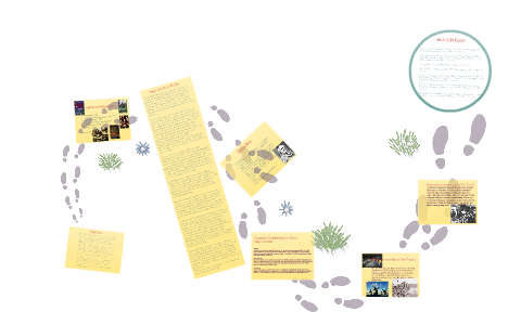J.R.R. Tolkien Presentation by Hibah Shafi on Prezi