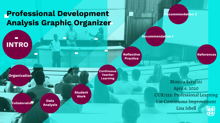 Professional Development Analysis Graphic Organizer by Monica Serafini ...