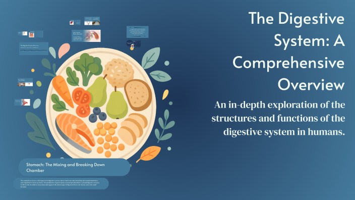 The Digestive System: A Comprehensive Overview by Sofia Ruiz on Prezi