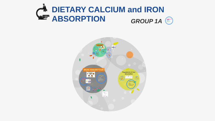 calcium-and-iron-absorption-by-tekpei-loi-on-prezi