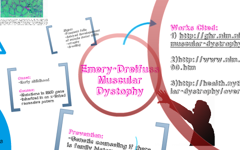 Emery-Dreifuss Muscular Dystrophy by Didi Moloi on Prezi