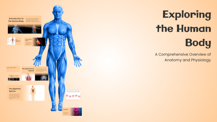 Exploring the Human Body by Pintér Dorka on Prezi