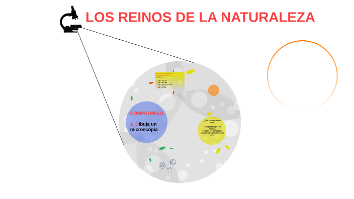LOS REINOS DE LA NATURALEZA by valentina leon moreno on Prezi