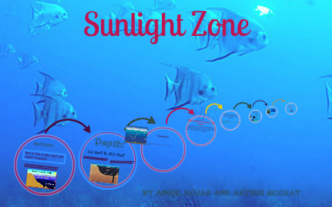 sunlight zone fish
