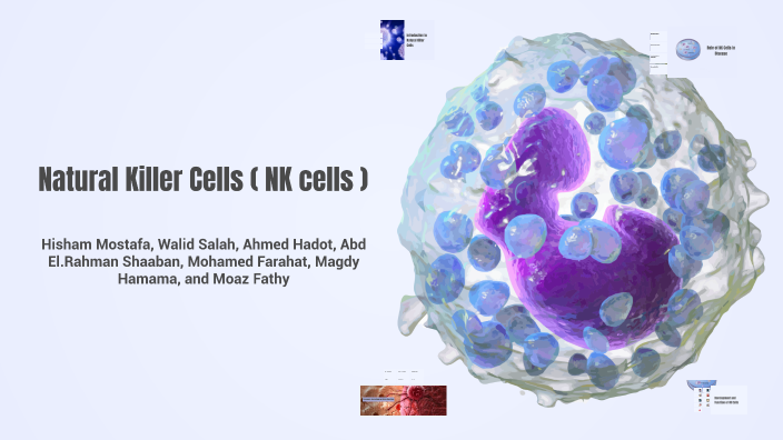 Natural Killer Cells The Frontline Defenders By Ahmed Hadot On Prezi