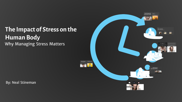 The Impact of Stress on the Human Body by Neal Stineman on Prezi