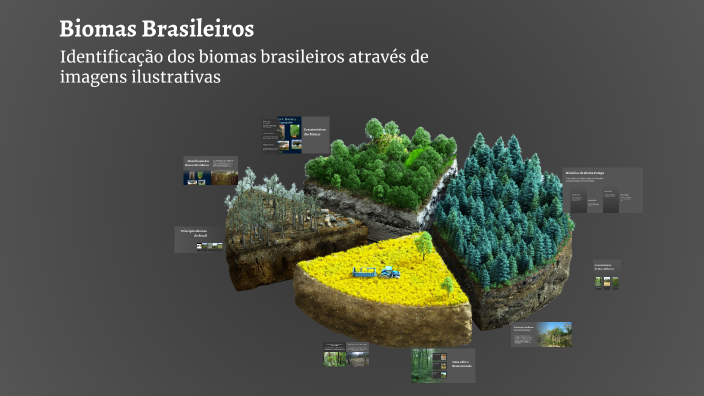 Biomas Brasileiros by edson alves on Prezi