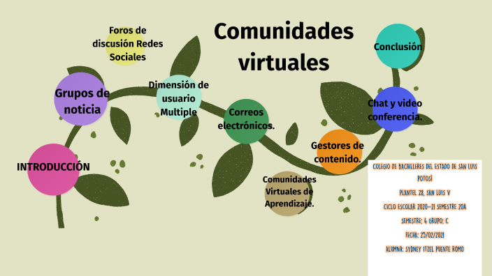 7 Tipos De Comunidades Virtuales Image To U 4133