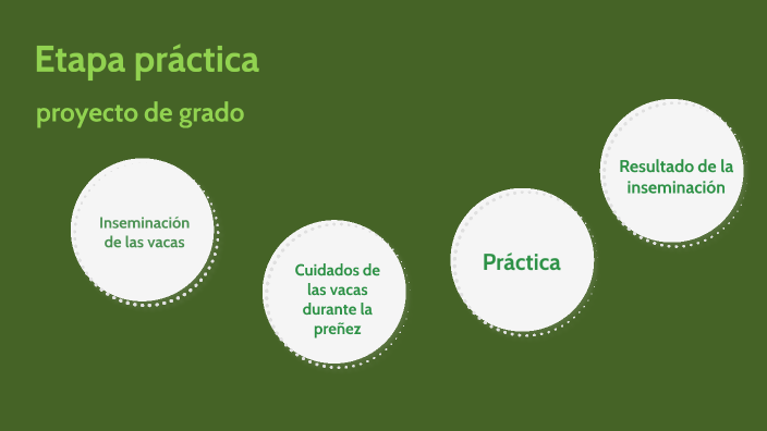 Proyecto de grado by luna pardo on Prezi