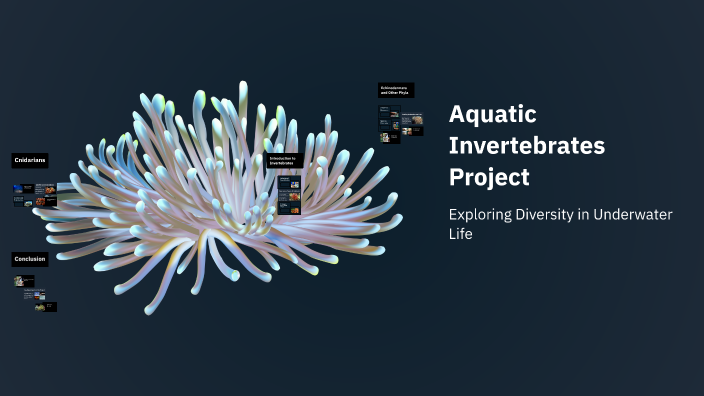 Aquatic Invertebrates Project by Comik Blu on Prezi
