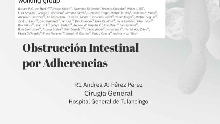 Obstrucción Intestinal por Adherencias by ANDREA ABIGAIL PEREZ PEREZ on ...