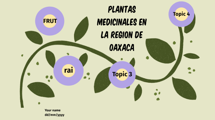 plantas medicinales en la región de Oaxaca by manolo felipe lopez