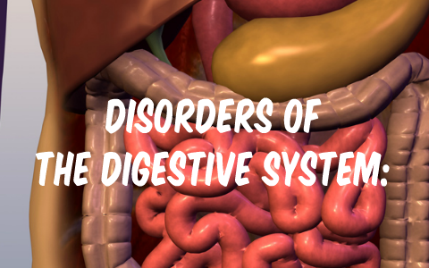 Disorders of the Digestive System: Gallstones by kate kuiper