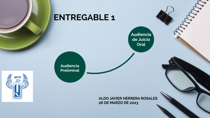 PROCEDIMIENTO DE LA AUDIENCIA PRELIMINAR Y DE JUICIO ORAL CIVIL by aldo ...