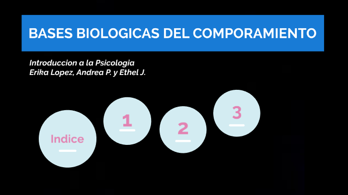 Bases Biologicas Del Comportamiento Humano By Jose Jativa On Prezi