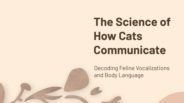 The Science of How Cats Communicate by Vicky Caban on Prezi