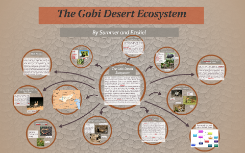 The Gobi Desert Ecosystem by Ezekiel Gherardi on Prezi