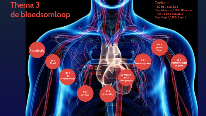 3e klas - T3 Bloedsomloop by Nicole Kievit on Prezi