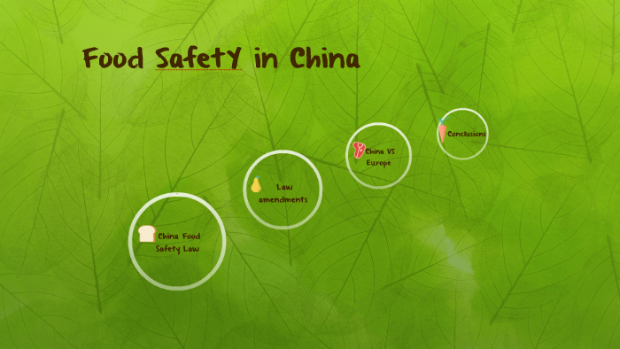 china-food-safety-law-by-sarah-delle-foglie