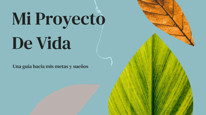Mi Proyecto De Vida by Viviana Rodriguez on Prezi