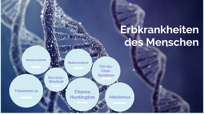 Erbkrankheiten Des Menschen By Alina Kiebe On Prezi