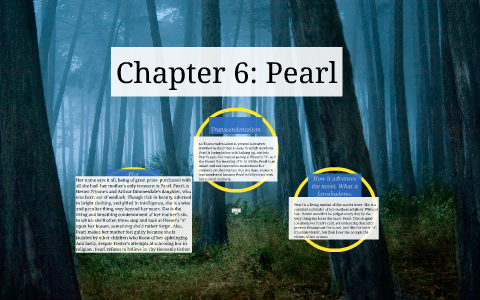 chapter 6 the pearl summary