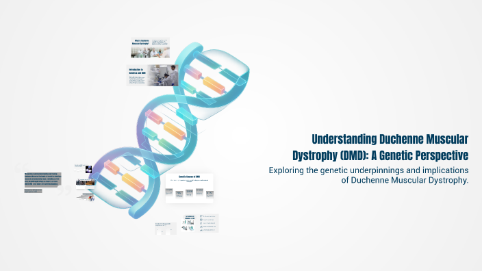 Understanding Duchenne Muscular Dystrophy (DMD): A Genetic Perspective ...