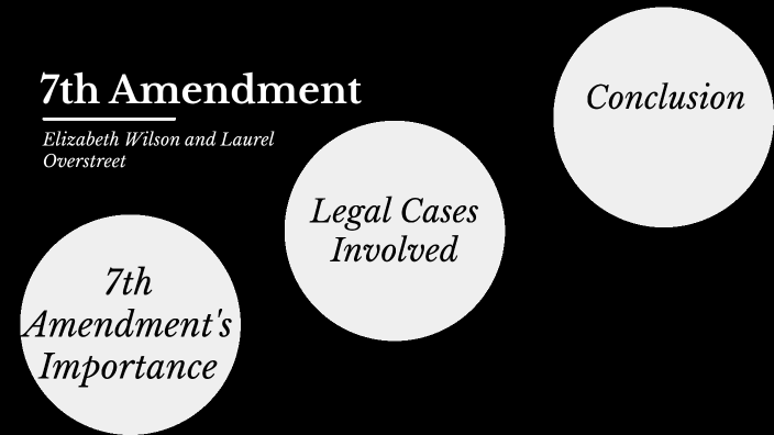 7th-amendment-by-elizabeth-wilson