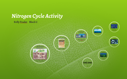 Nitrogen Cycle Activity by Kelly Fradet on Prezi