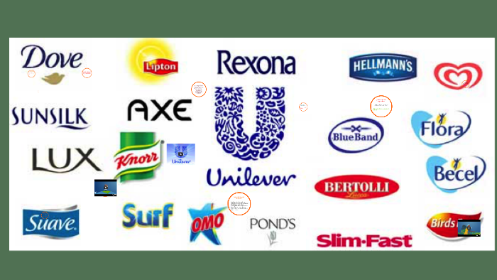 sabes a que se dedica unilever? by liz sotomayor on Prezi