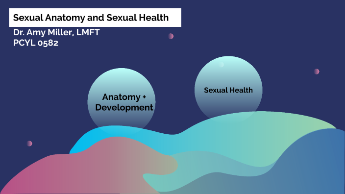 Sexual Anatomy And Sexual Health By On Prezi 0702