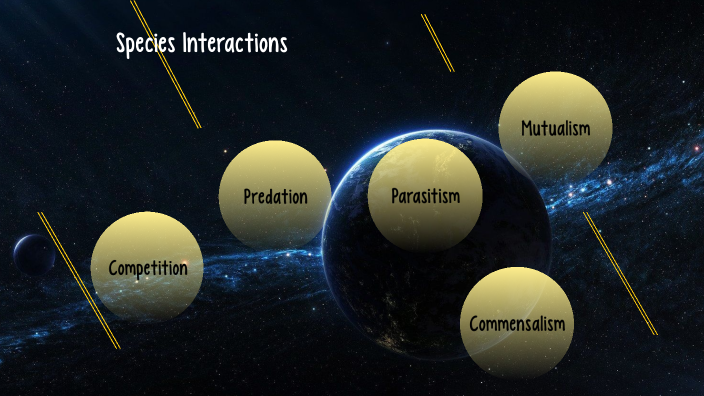 different types of species interactions