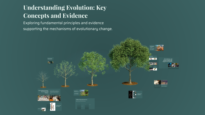 Understanding Evolution: Key Concepts and Evidence by Jayden Nguyen on ...