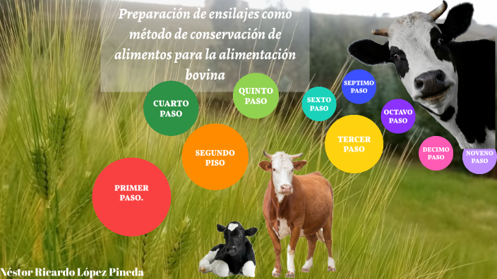 Presentación - Preparación de ensilajes como método de conservación de ...