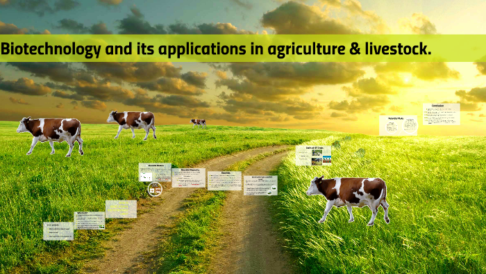 Biotechnology and its applications in agriculture and livestock by ...