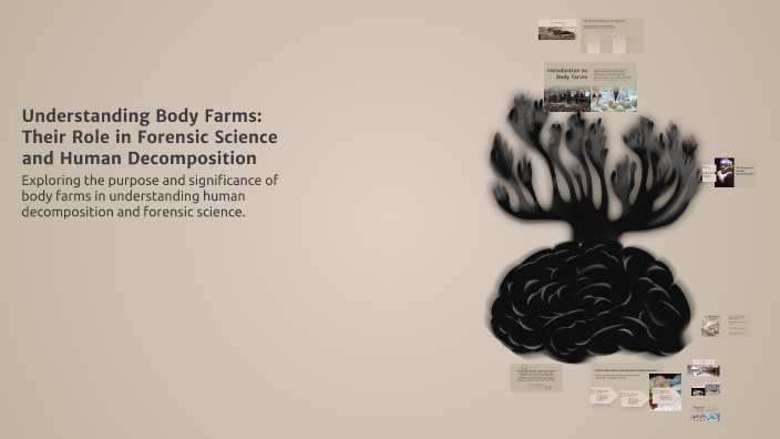 Decomposition Forensic Science Understanding Body Farms: Their Role in Forensic Science and Human ...