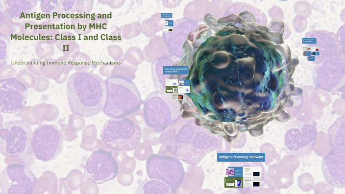 Antigen Processing and Presentation by MHC Molecules: Class I and Class ...