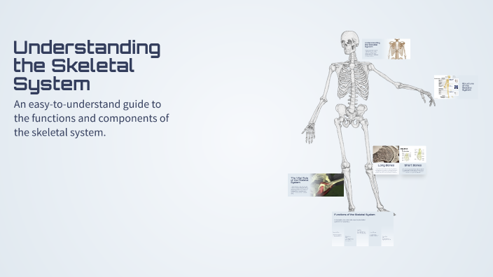 Understanding the Skeletal System by Ritu Ghalawat on Prezi