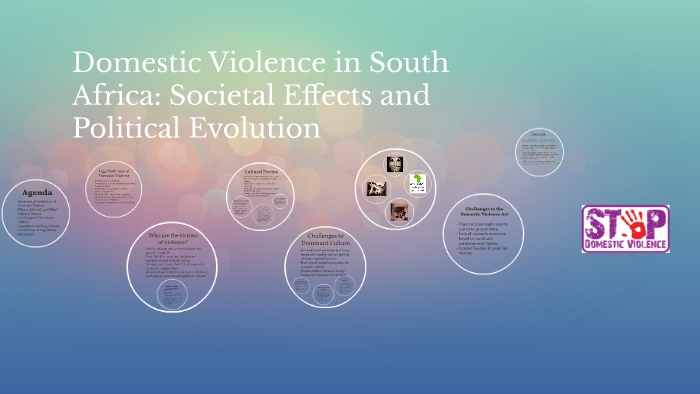Domestic Violence in South Africa: Societal Effects and Poli by Kristen ...