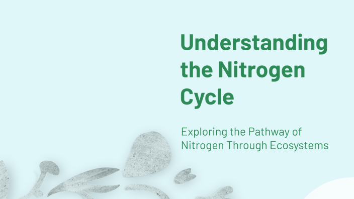 Understanding the Nitrogen Cycle by unicorn us on Prezi