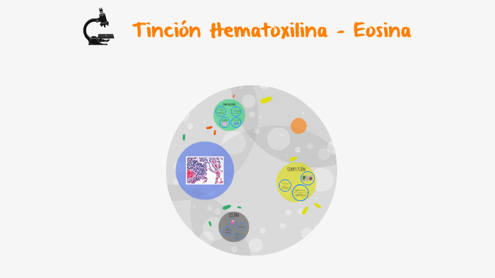 Tinción Hematoxilina Eosina by Nancy Mundo on Prezi