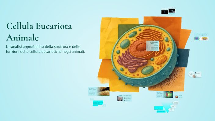 Cellula Eucariota Animale by Giacomo Daminelli on Prezi