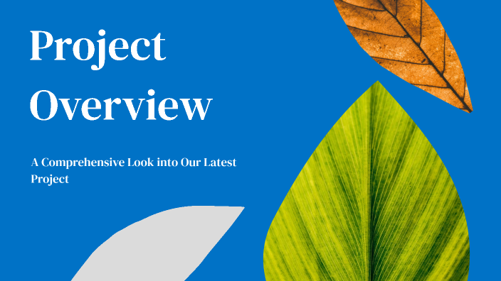 Project Overview by Mayuri Badhan on Prezi